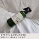 음성이불 | 침구류관리는 민트계피스프레이로! 집먼지진드기퇴치제 찐 사용 후기