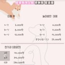 오늘의개스트 이미지
