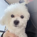 몽실멍실 이미지