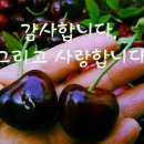 심수