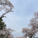 나무아래서(푸드트럭) 이미지