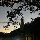 속리산 법주사 | 충북 보은 속리산 법주사 야간 관람 후기(차량통제시간, 주차장, 법고, 쌍사자석등, 국화축제, 대웅보전)