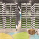 유니콘농장 이미지