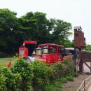 에코랜드 이미지