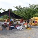 초록슈피아 캠핑장 이미지