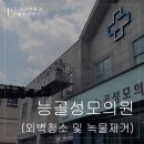 능골성모의원