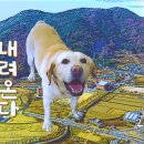 행복이