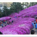 양지1공원 이미지