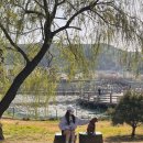 안성맞춤랜드공원17 이미지