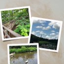 에브리데이항상약국 이미지