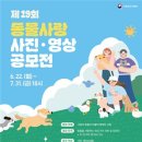 위드펫종합동물병원 올치올치
