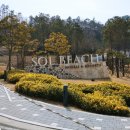 진도 한우 참치회 전문점 이미지