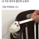 석송가든식당 이미지