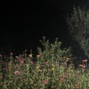 청풍민박 이미지