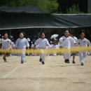 엠엔에스