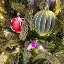 몽 듀 로투스(Mont du Lotus) 이미지