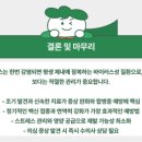 도그플러스 동물병원 이미지