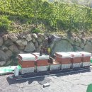 유밀농장 이미지