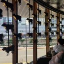 JW메리어트동대문스퀘어서울 BLT 스테이크 브런치코스 후기 (내돈내산)