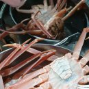 블루오션관광펜션 이미지