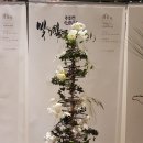 서울리프 이미지