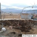 인천광역시 강화군 하점면사무소 이미지