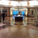 테디벨리 이미지