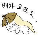 참살이촌 이미지