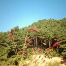 정다운마을 이미지