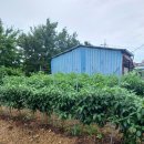 고산식당 이미지