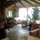 카리브민박 이미지