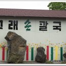교래손칼국수 이미지