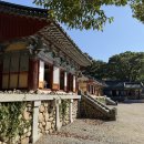 호법 코스모스길 | 포항 보경사 호미곶 해맞이광장 12폭포 내연산