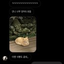 먹부림 가득