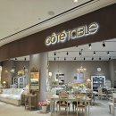 푸드앤프랜드 이미지