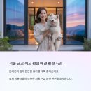 놀멍애견펜션 | 후기 최고 평점 받은 애견 펜션만 모았다! 서울 근교 베스트 4곳 소개