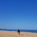 향호농장 | #연곡솔향기캠핑장 간절기 동계캠 (feat #BTS&#39;s #성지 #향호해변)