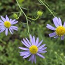 신구대학교 이미지