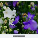 통일 여인숙 이미지