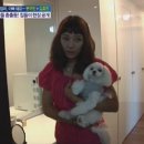 이본헤어 - 군산시 대학로 61 | 이본헤어