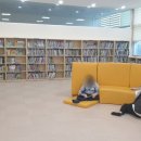 범어도서관 네이버블로그