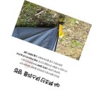 돼지네부식