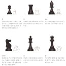 체스 이미지