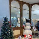 베니펫살롱 | 최일순짬뽕순두부, 세인트존스호텔, 강릉중앙시장(베니닭강정, 여고시절떡볶이, 은총횟집), 솔향대게...