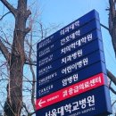 서울대학교병원 네이버블로그