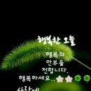 곡성축협마트 Daum카페