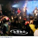 이투컴퍼니 노컷뉴스