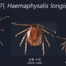 성원시스텍(주)