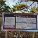 상주산 인근 Daum카페