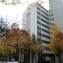 정왕대로 이미지